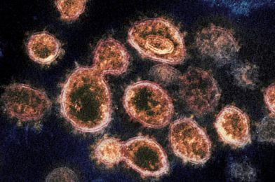 Coronavirus: cuando demostramos que no tenemos conciencia de especie
